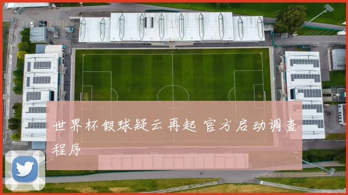 世界杯假球疑云再起 官方启动调查程序