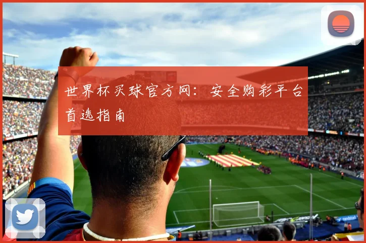 世界杯买球官方网：安全购彩平台首选指南