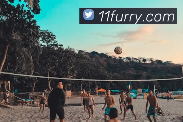 App Interface Preview