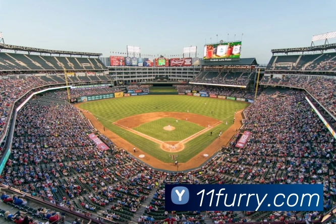 赛事专题整合